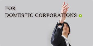 FOR DOMESTIC CORPORATIONS